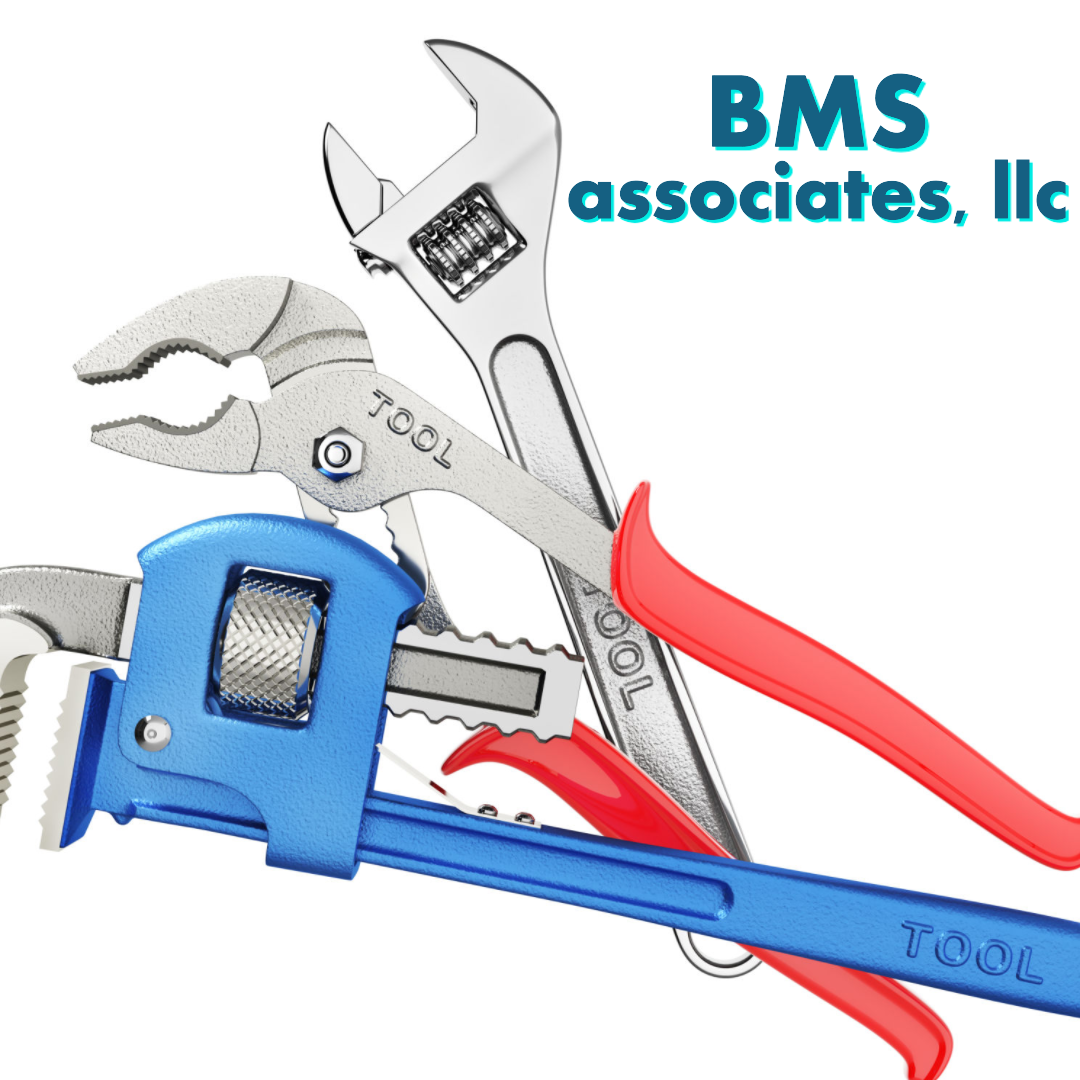 Avatar for Bms