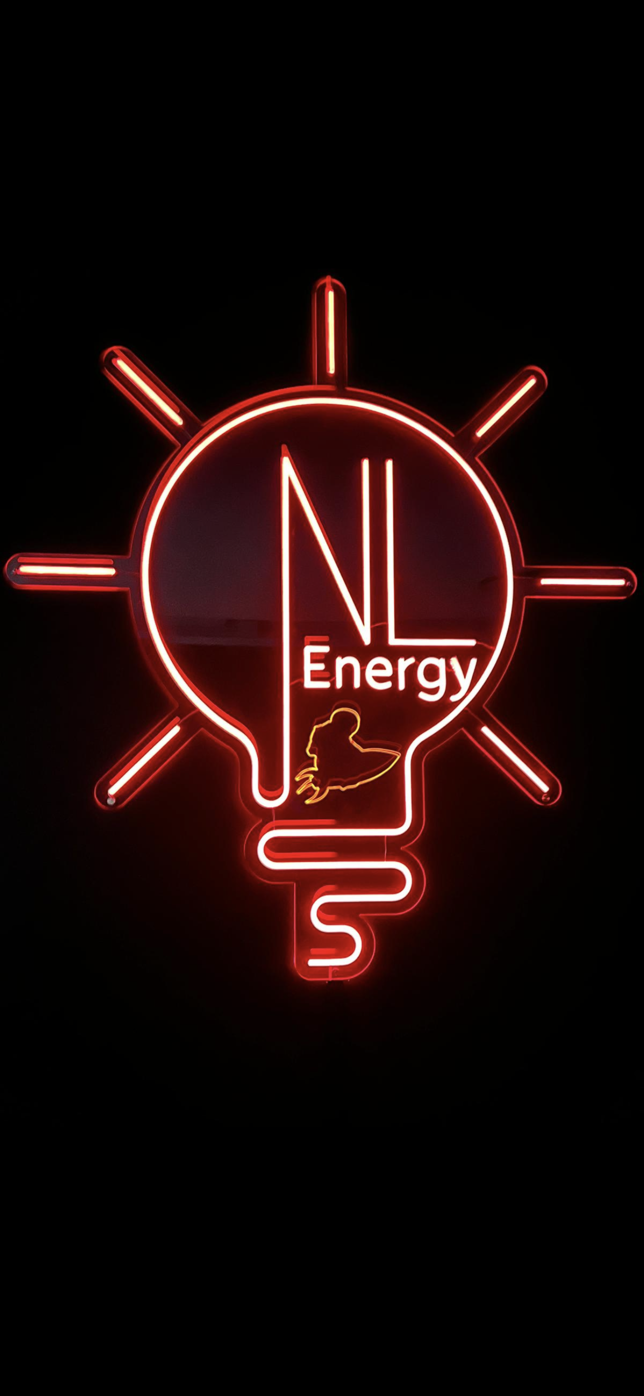 Next level Energy logo