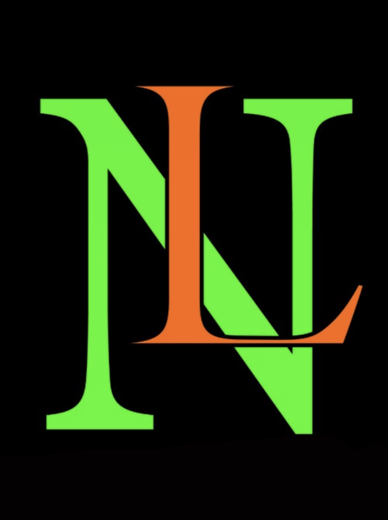 Next level multi-service solutions logo