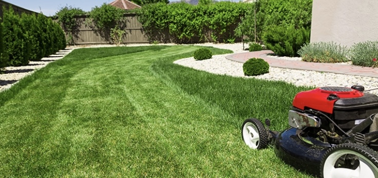 Avatar for lawn care services
