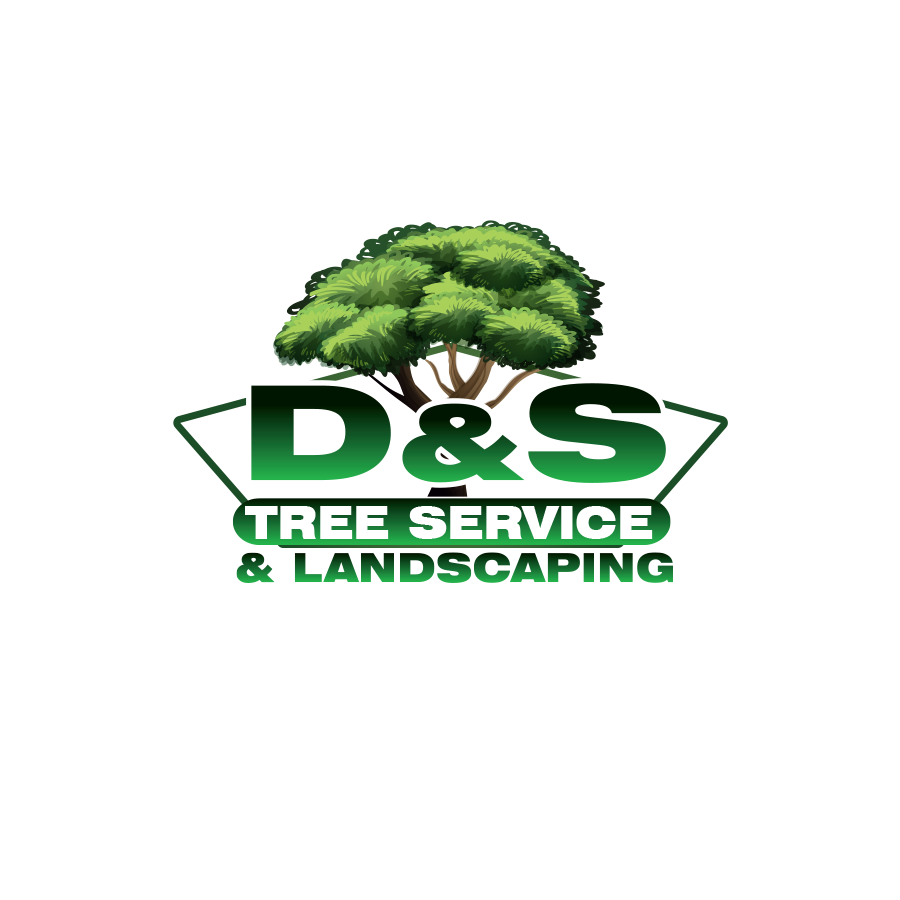 DS Tree Service logo