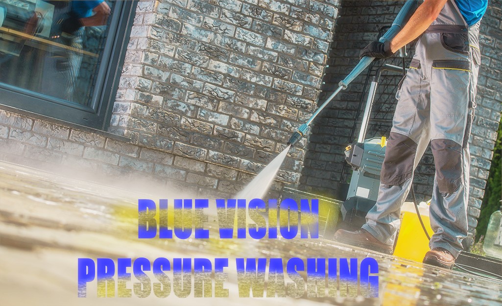 BlueVision Pressure Washing logo