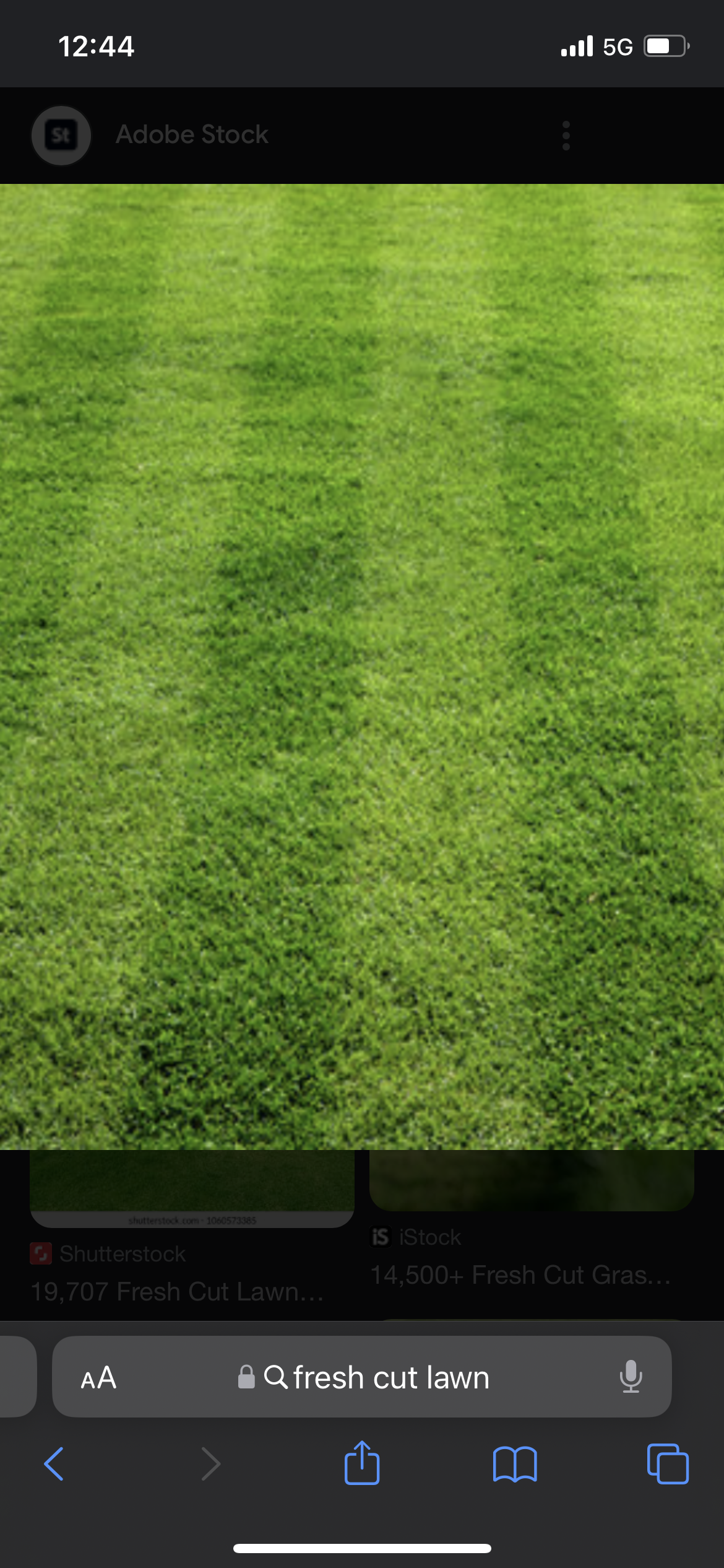 Avatar for Jungle lawn care