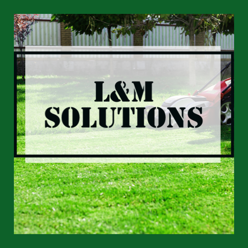 L&M Cleaning Solution logo