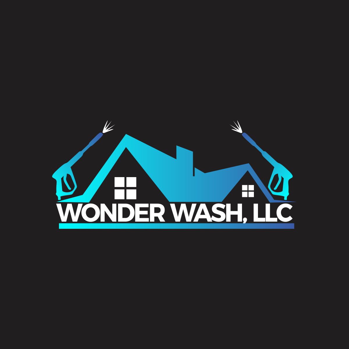 Wonder Wash, LLC logo