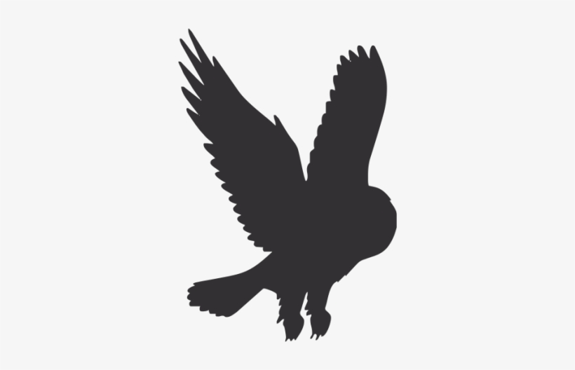 Avatar for B and K Services