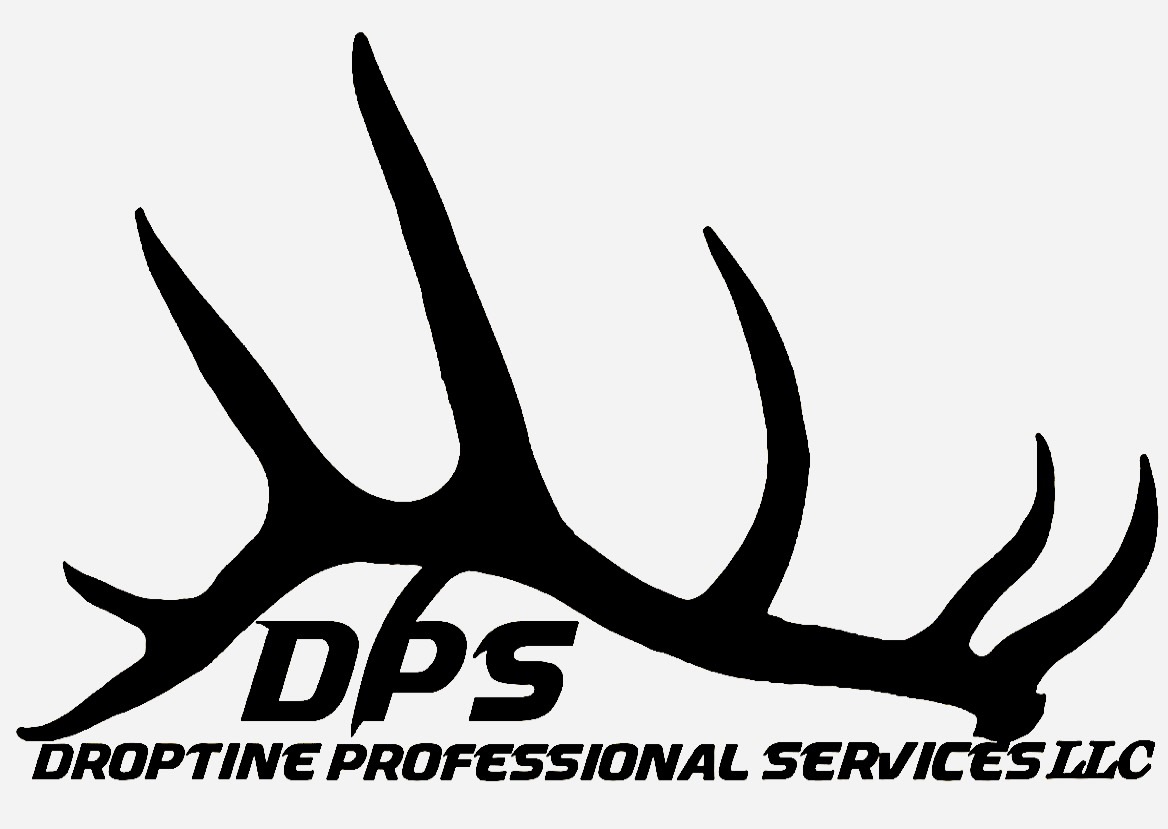 Droptine Professional Services logo