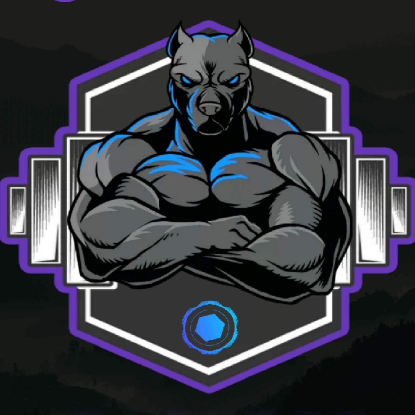 Onyx Home Services logo