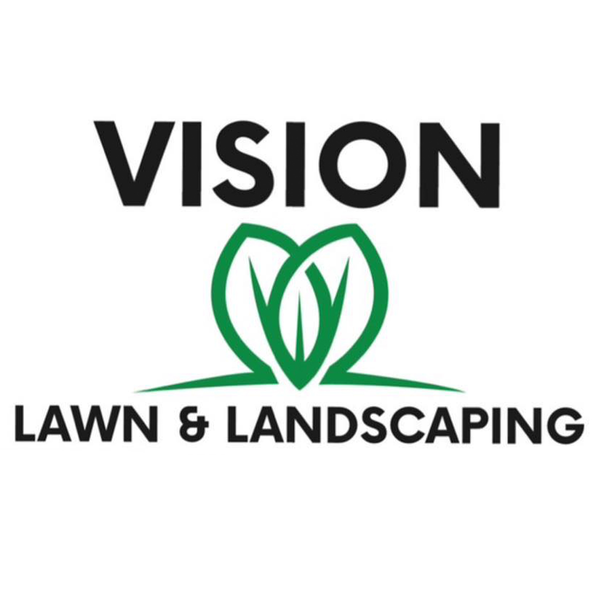 Vision Lawn and Landscaping LLC logo