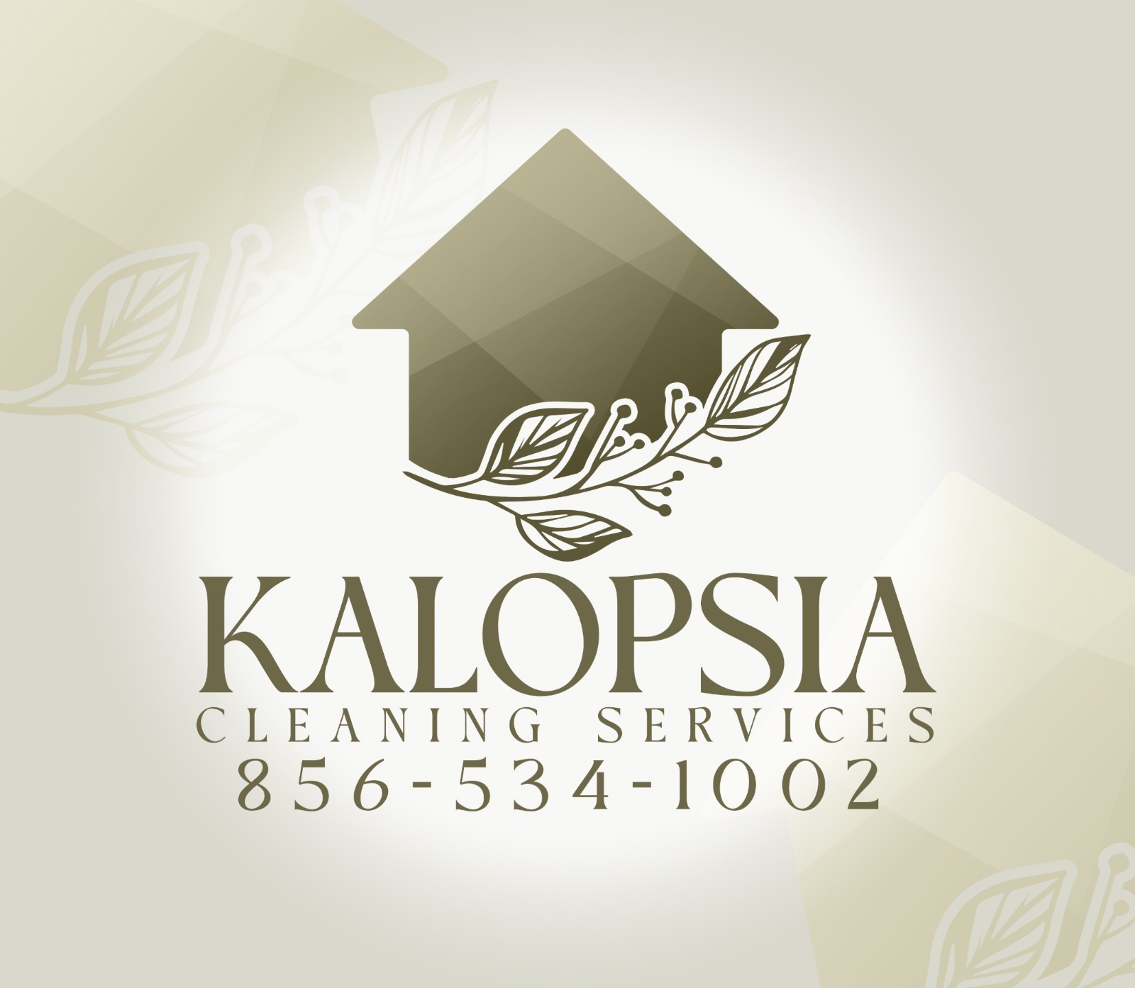 Kalopsia cleaning services logo