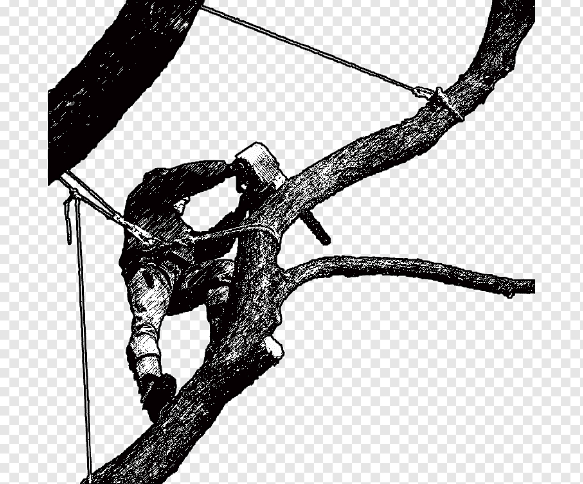 Avatar for Anderson Taylor Tree Service