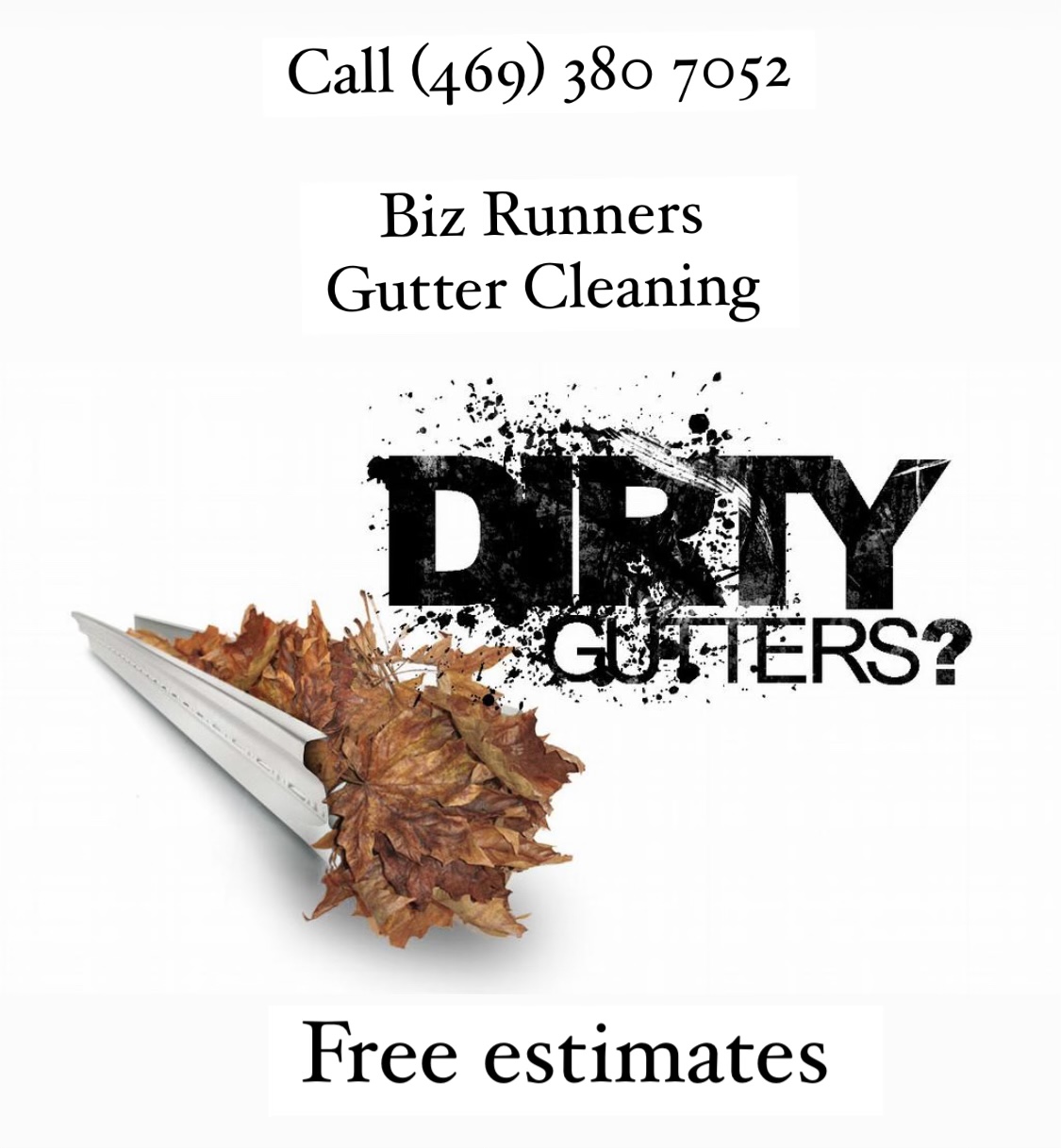 Avatar for BizRunners Gutter Cleaning
