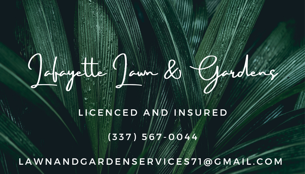 Avatar for Lafayette Lawn and Gardens
