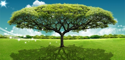 Avatar for M & G PERSONAL ORGANIZATION AND CUSTOM PERSONAL DESIGNS, LLC