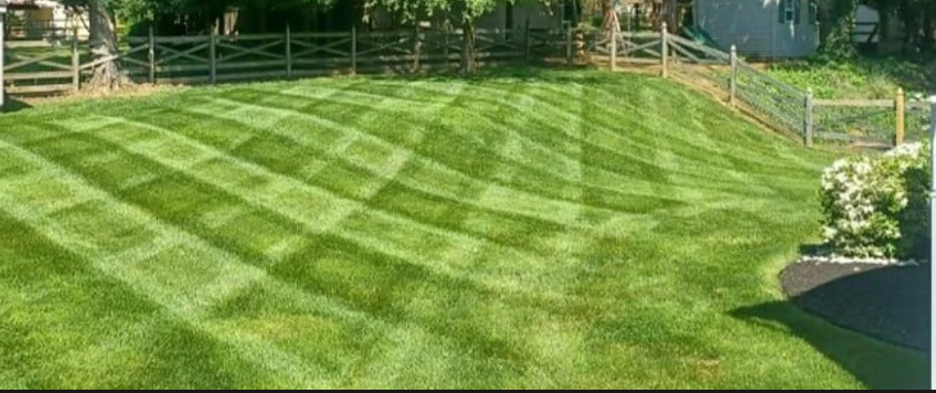 Avatar for KlonDons Lawn care