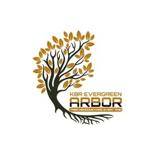 Avatar for KBR Tree Service