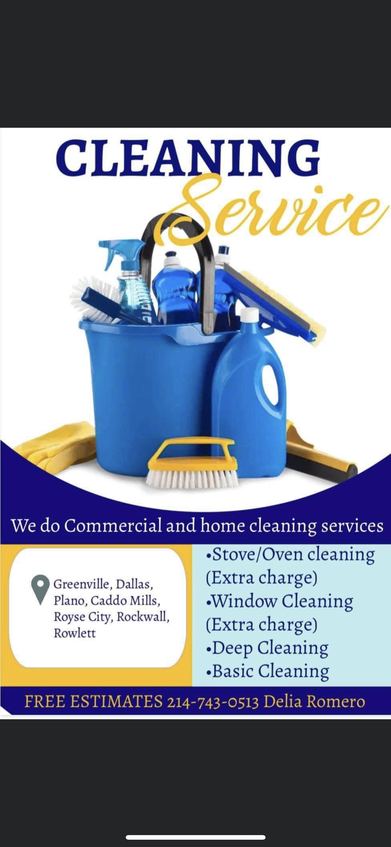 Delia house cleaning logo
