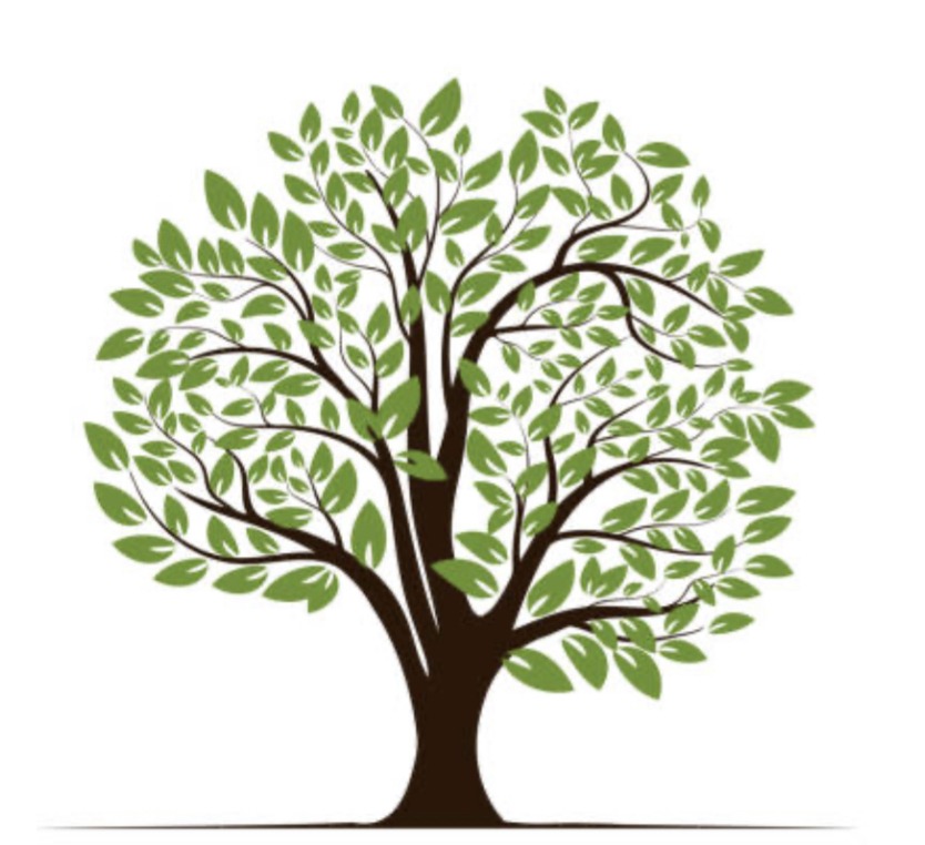 Avatar for Cleaning with Stephanie