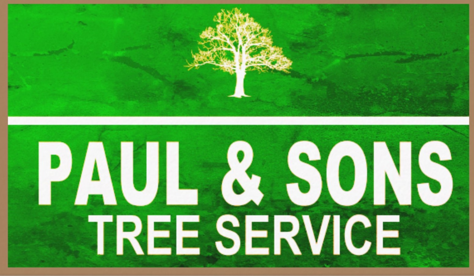 Paul and sons tree service logo