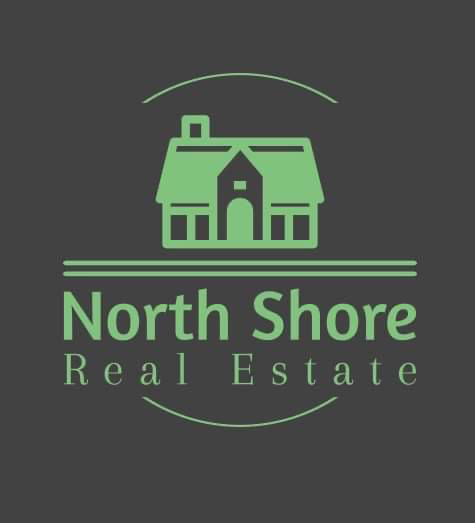 NS Construction logo