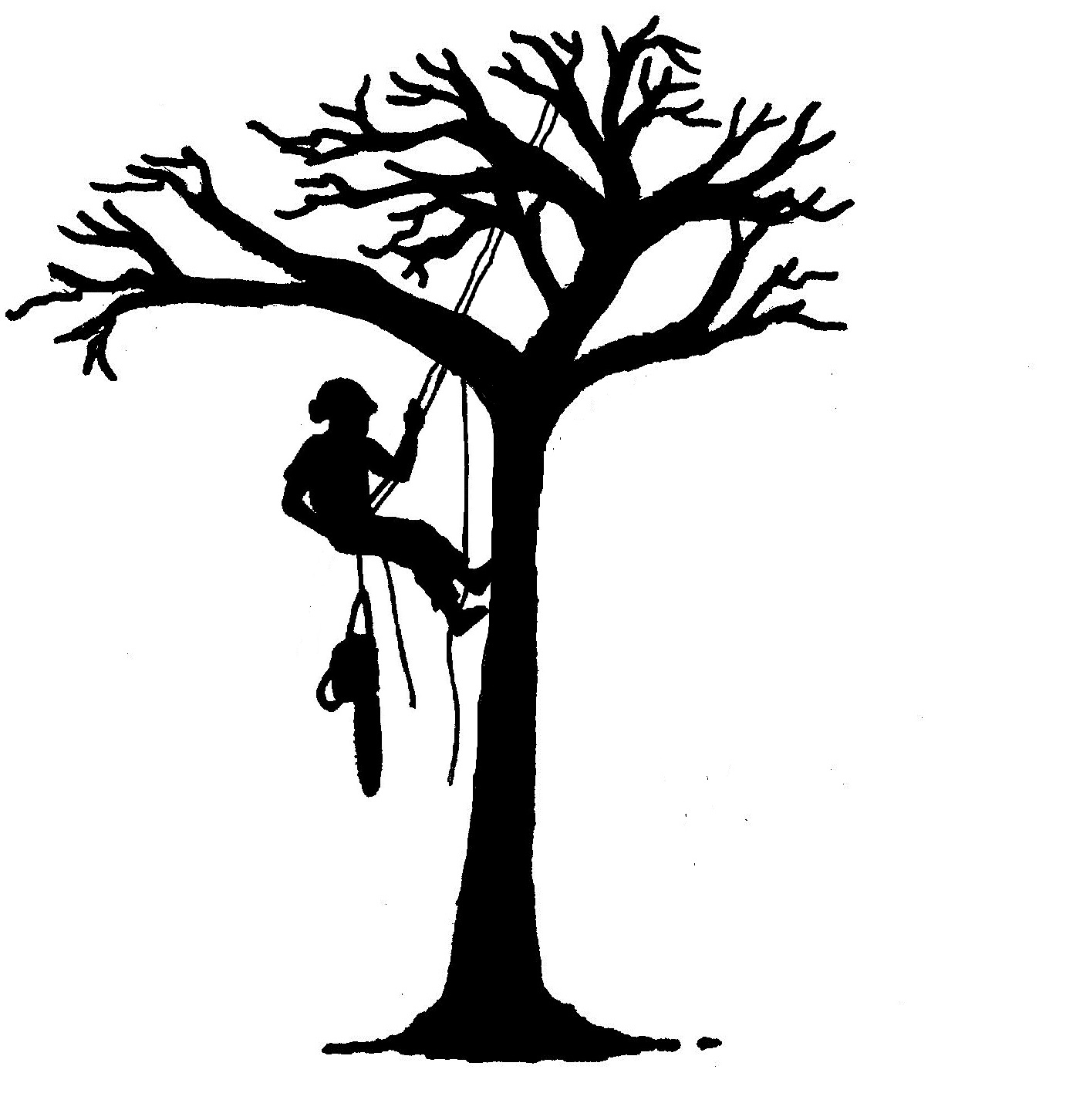 Avatar for Garcia Tree Service
