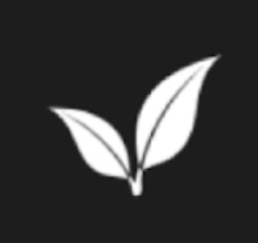 Verde Home Cleaning Services logo