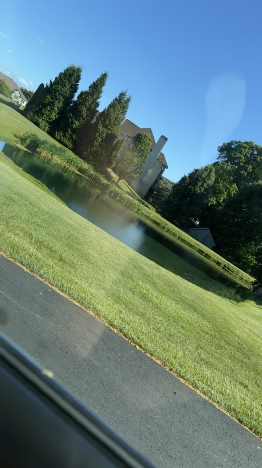 Avatar for Rickys Mowing