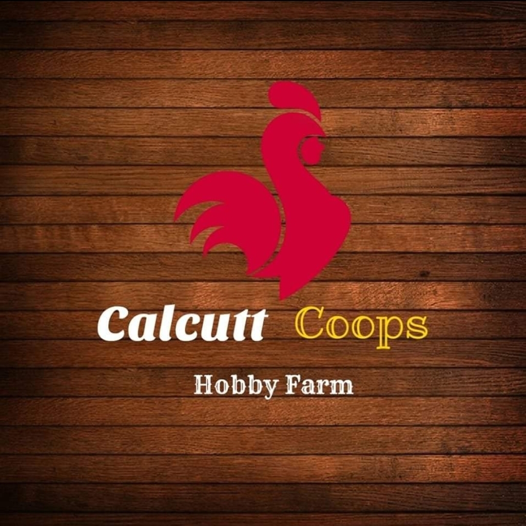Calcutt Coops Hobby Farm logo