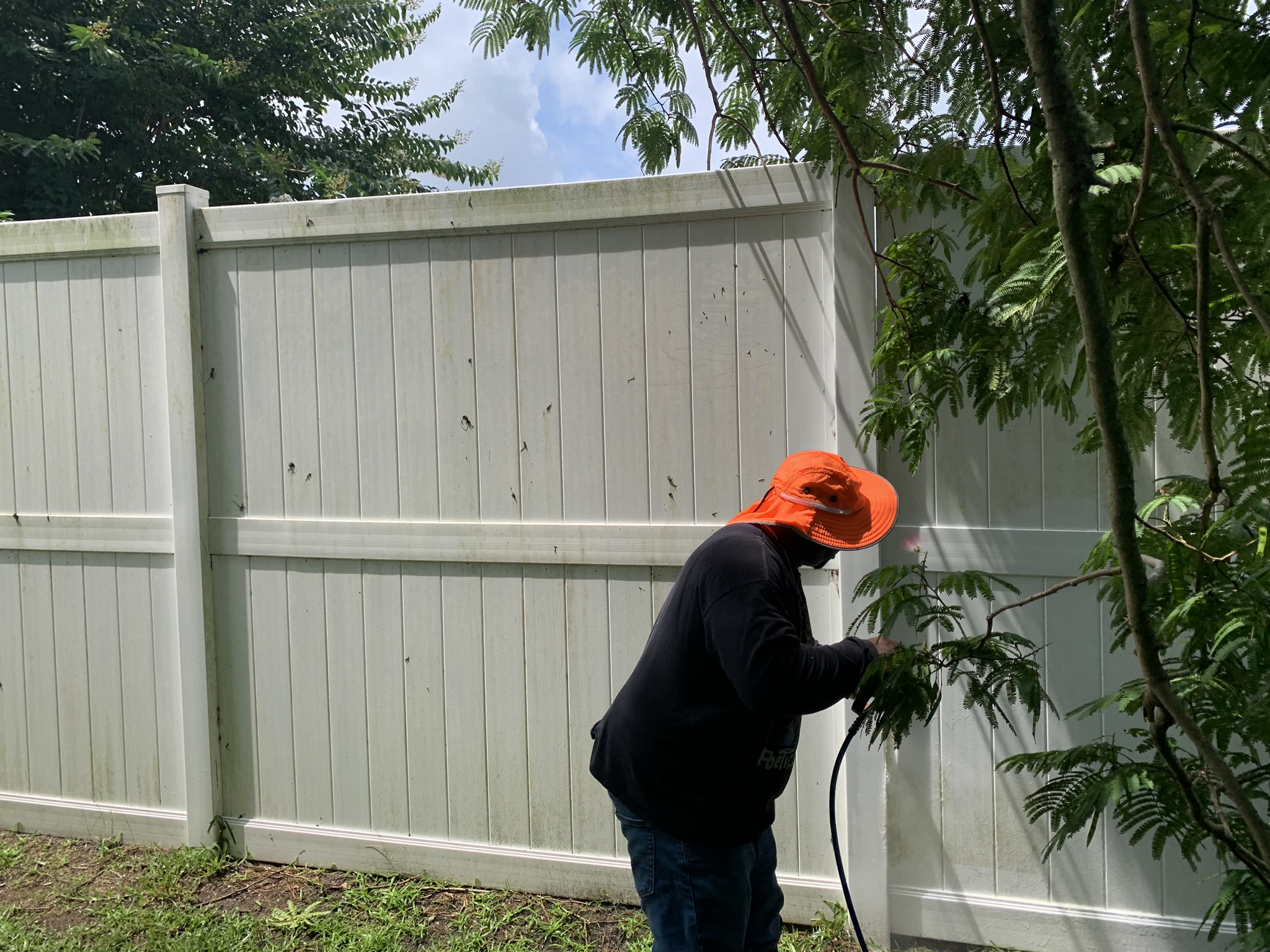 Avatar for Timmy power wash service