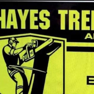 Hayes tree services logo
