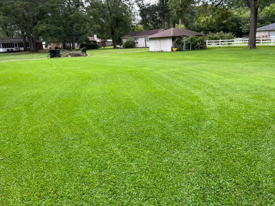 Avatar for Mr.Lopez Lawn Care service and Landscaping