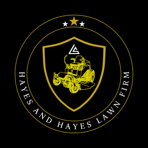 Avatar for Hayes and Hayes Lawn Firm