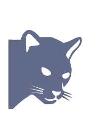 Cat Exteriors logo