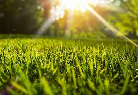 Avatar for Klingner Lawn Care