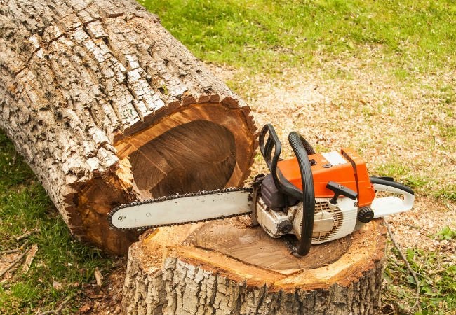 Clarks Tree Services logo