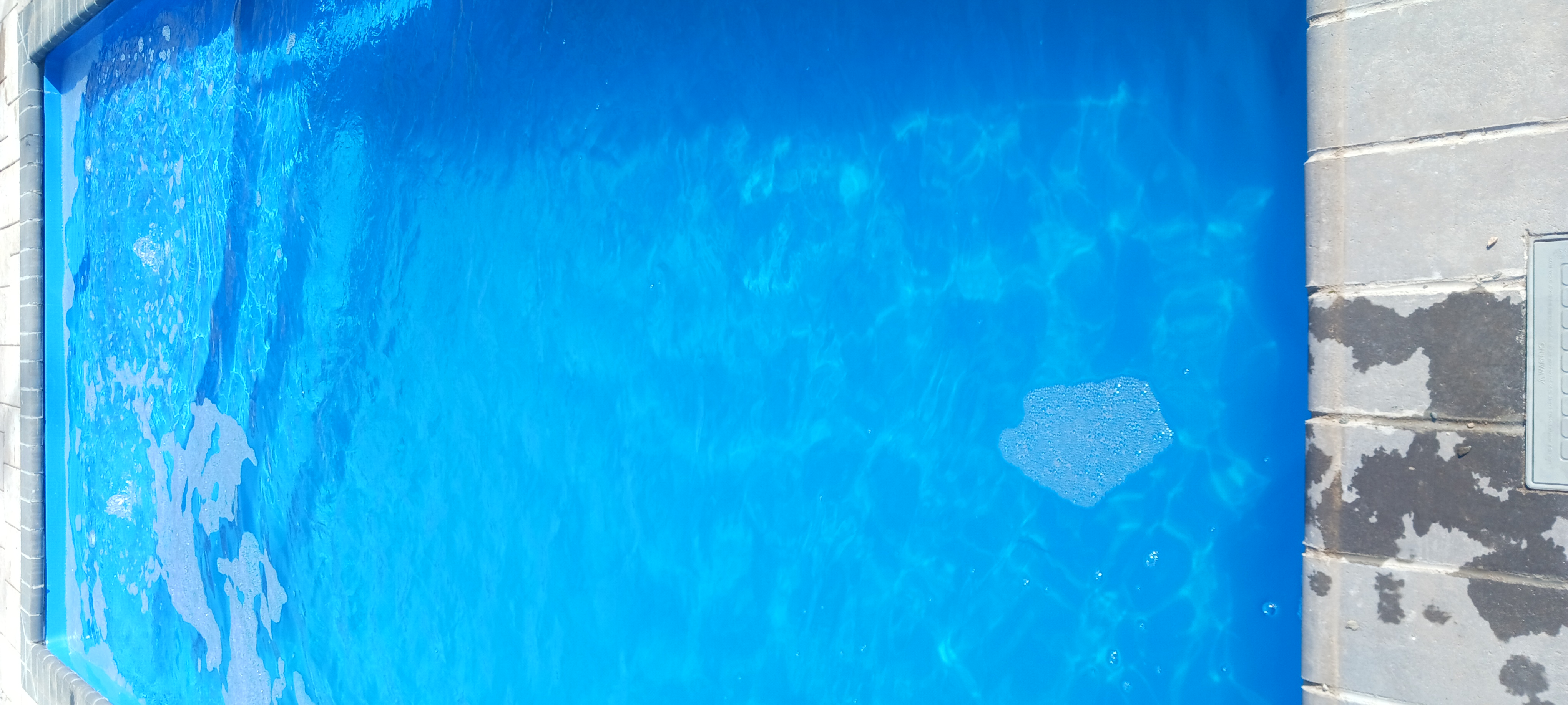 TJ The Pool Savage logo