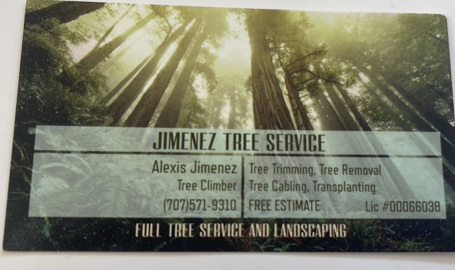 Jimenez Tree Service logo