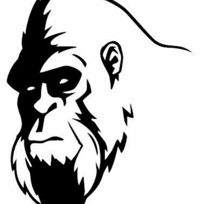 Artsquatch's Power Washing, Paint, and Stain logo