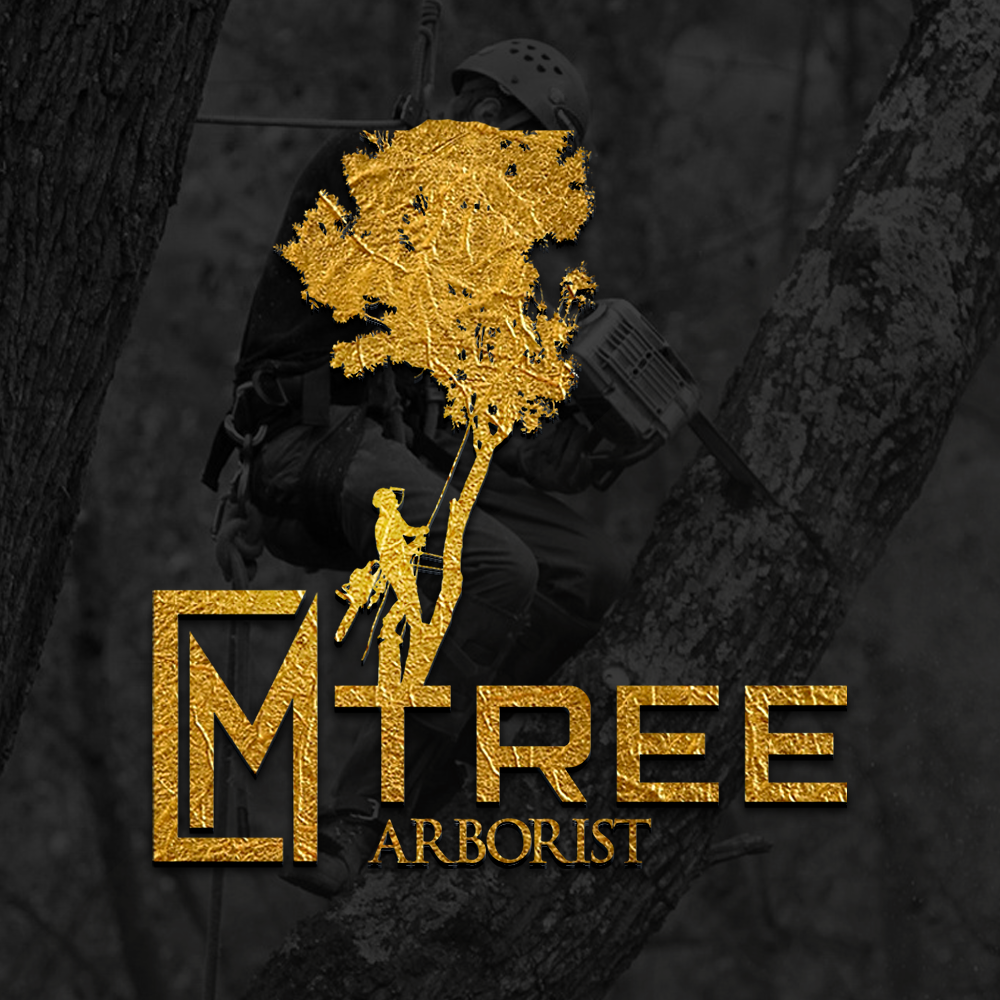 CM tree service logo