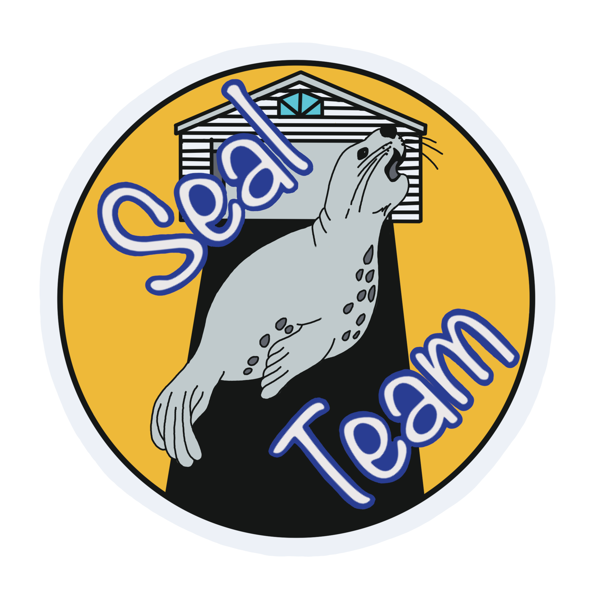Seal team 6 logo