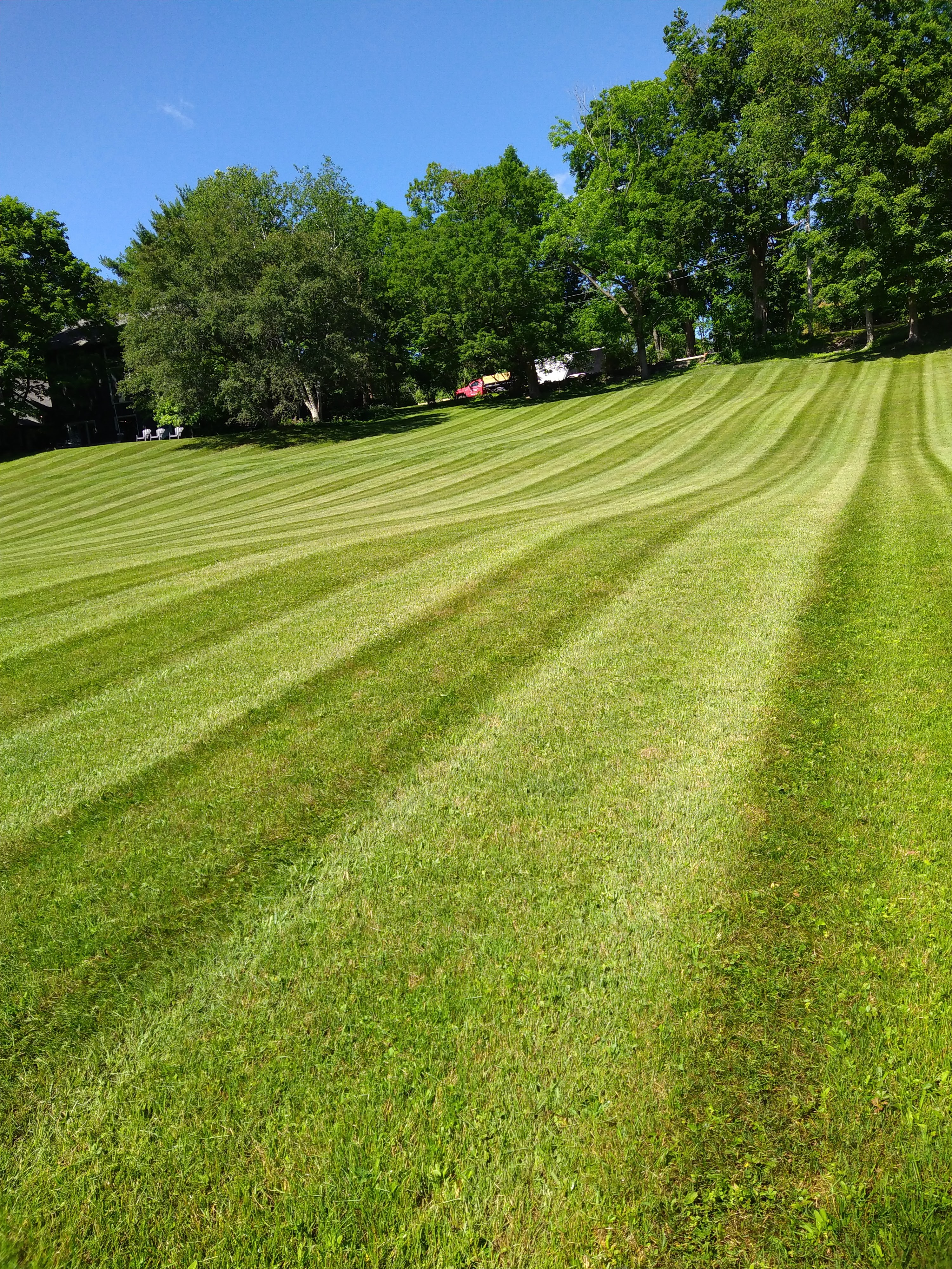 G&A Lawn and Landscaping logo