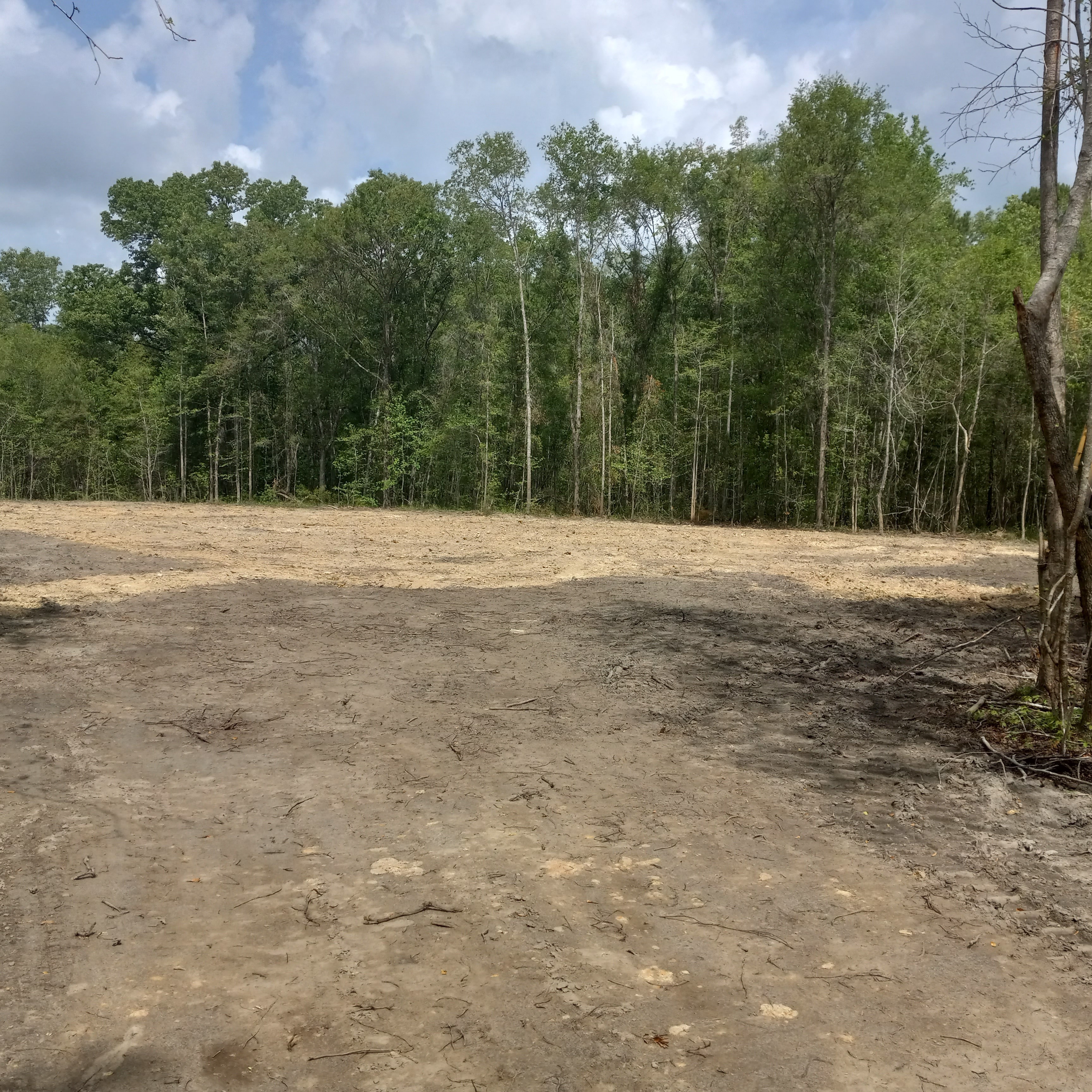 Avatar for Lowcountry clearing & HAULING