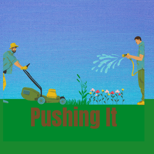 Avatar for Pushing It