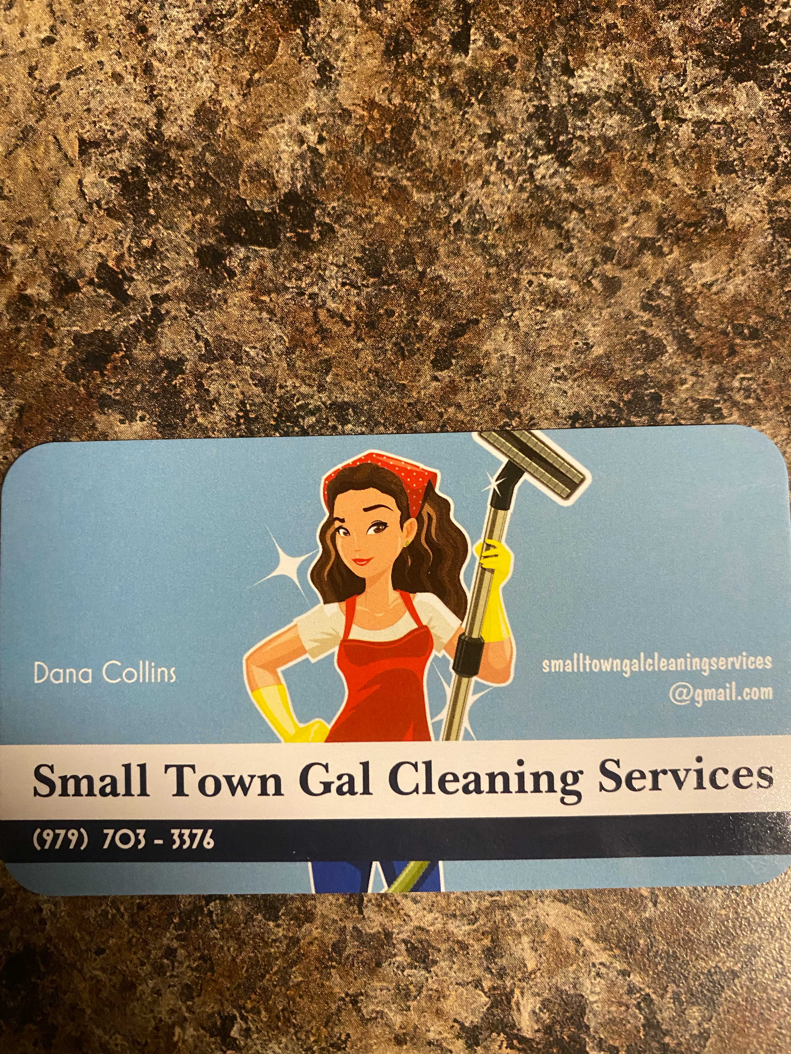 Small Town Gal Cleaning Services logo