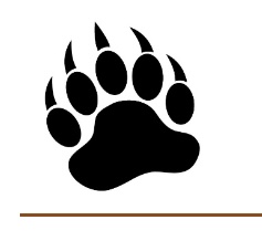 Bearly There LLC logo