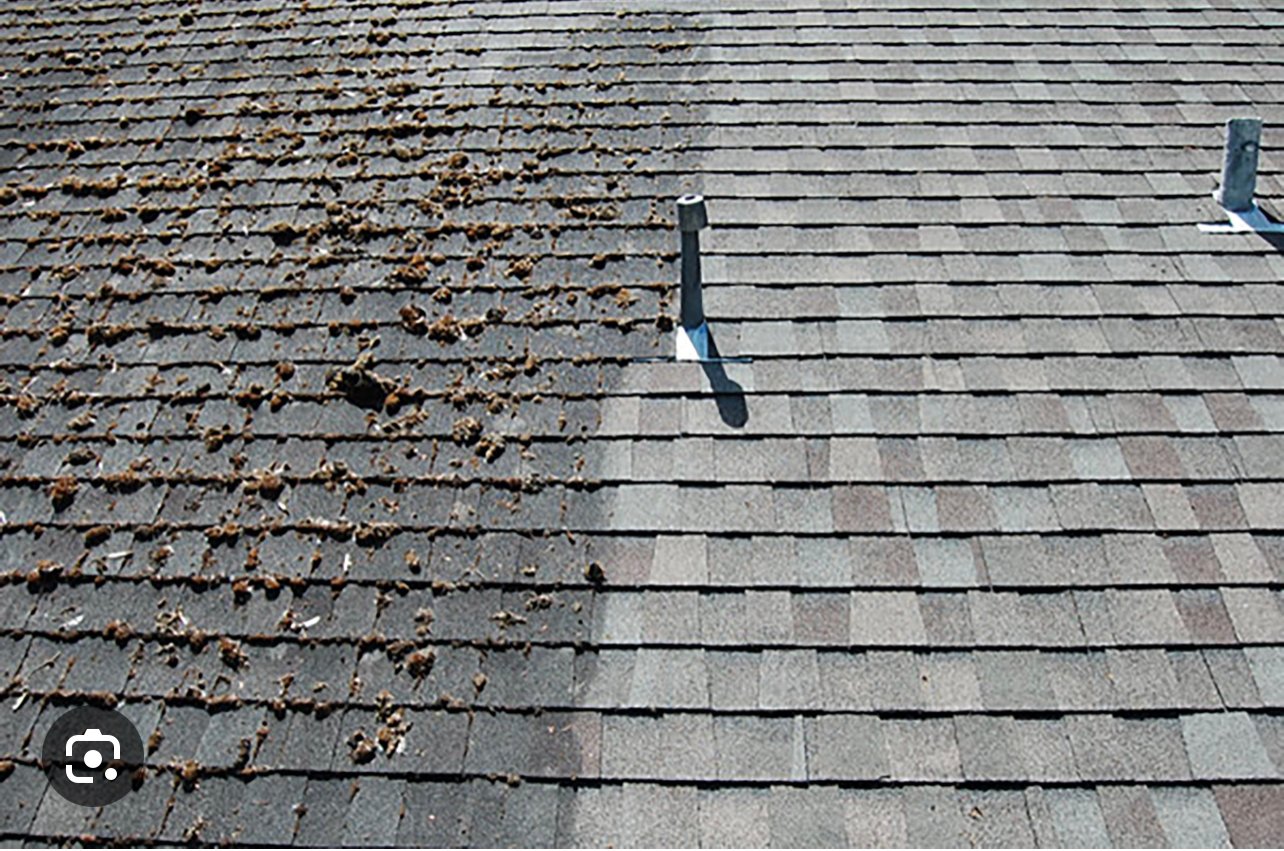 Avatar for JJs gutter maintenance