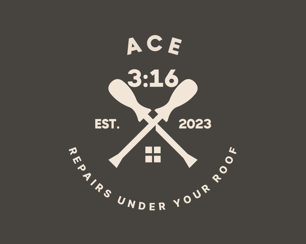 ACE 316 LLC logo