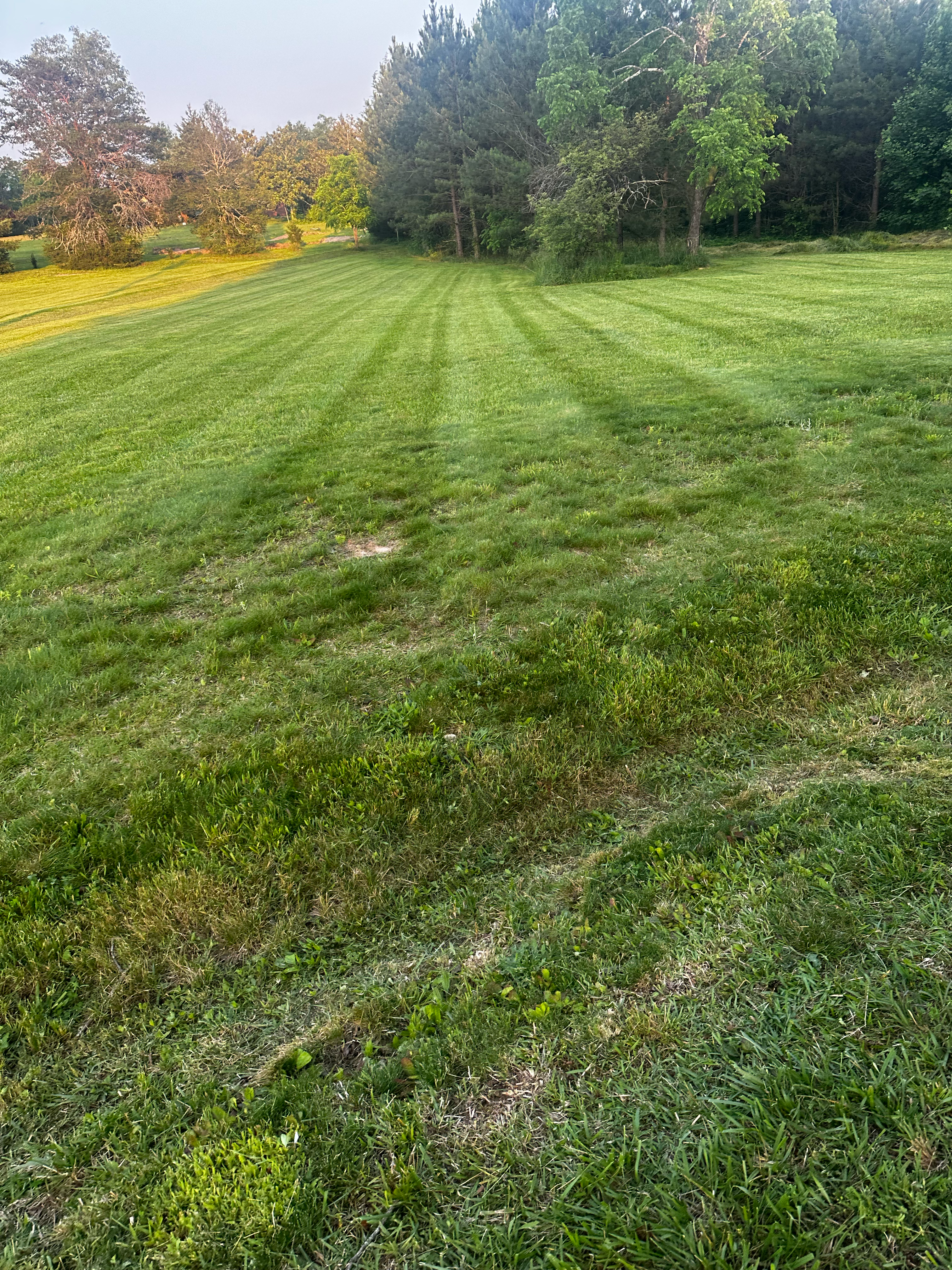 Avatar for Affordable Lawn Care
