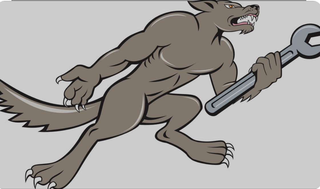 Avatar for Wolfs plumbing