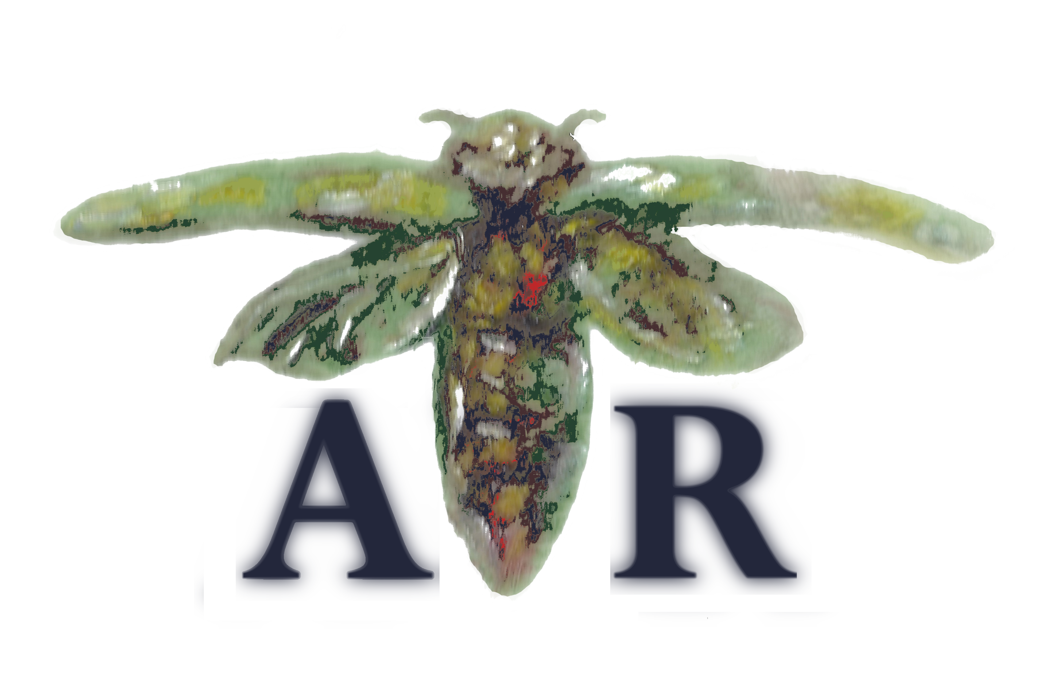 Avatar for Ashwood Restoration
